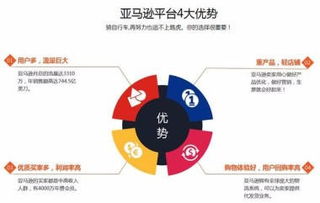 跨境電商亞馬遜店群,批量開店創(chuàng)業(yè)指導(dǎo),亞馬遜erp系統(tǒng)貼牌定制